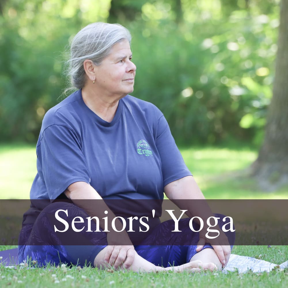 senior yoga